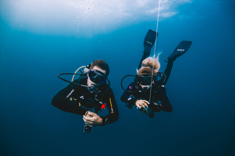 fundive-11 (1) fundive-11 (1)